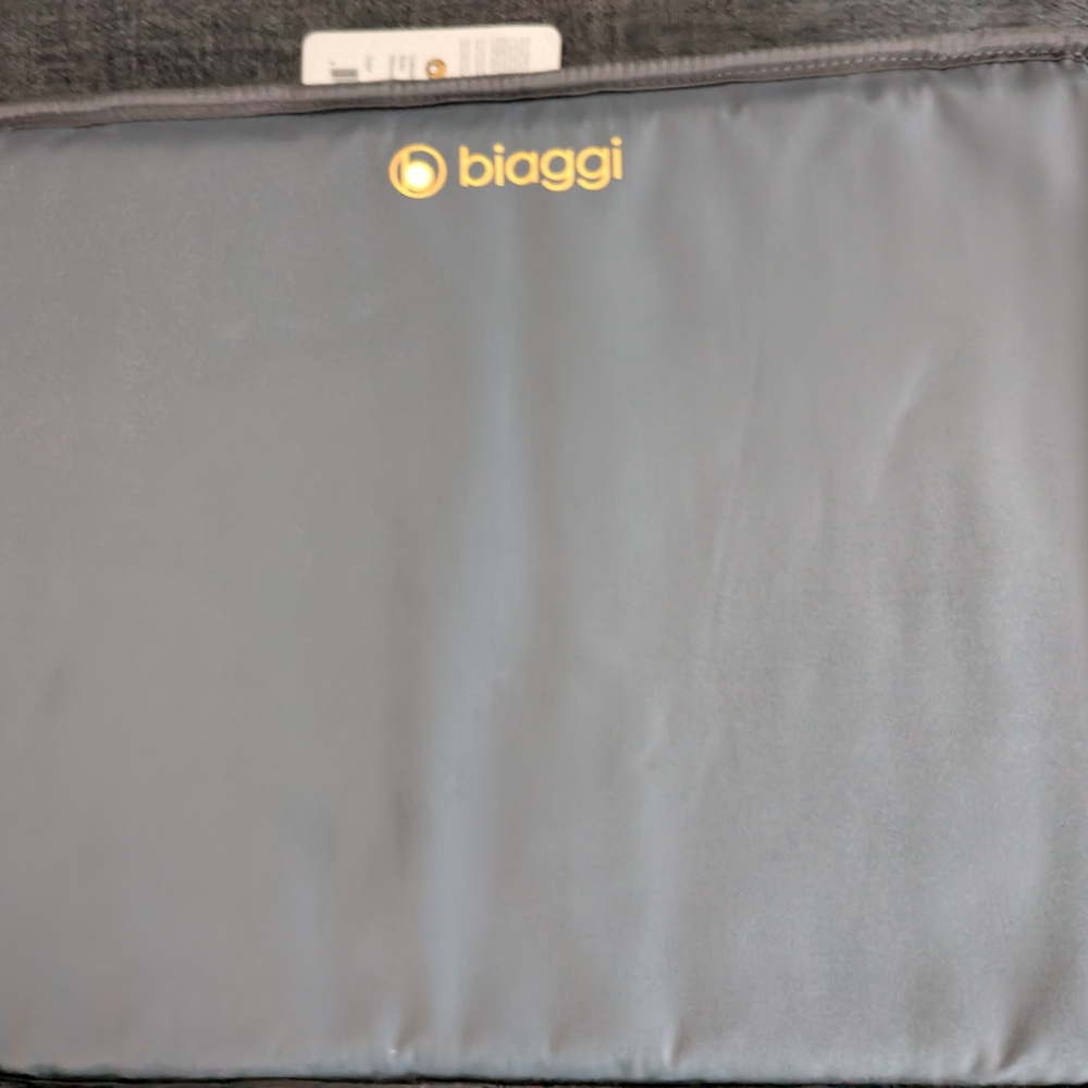 Biaggi Sleek Gray Travel Bag for Women